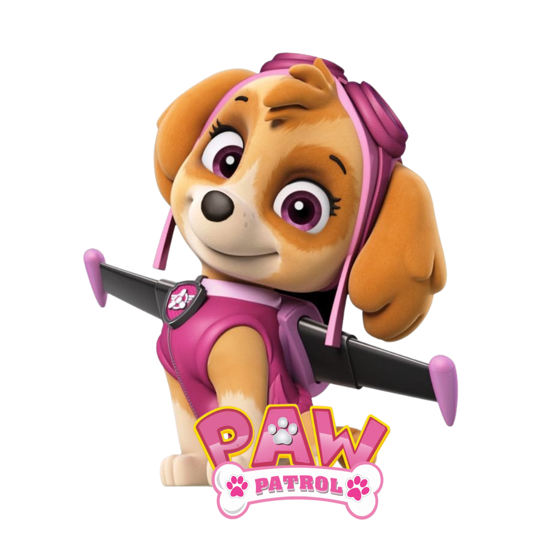 CONJUNTO PAW PATROL