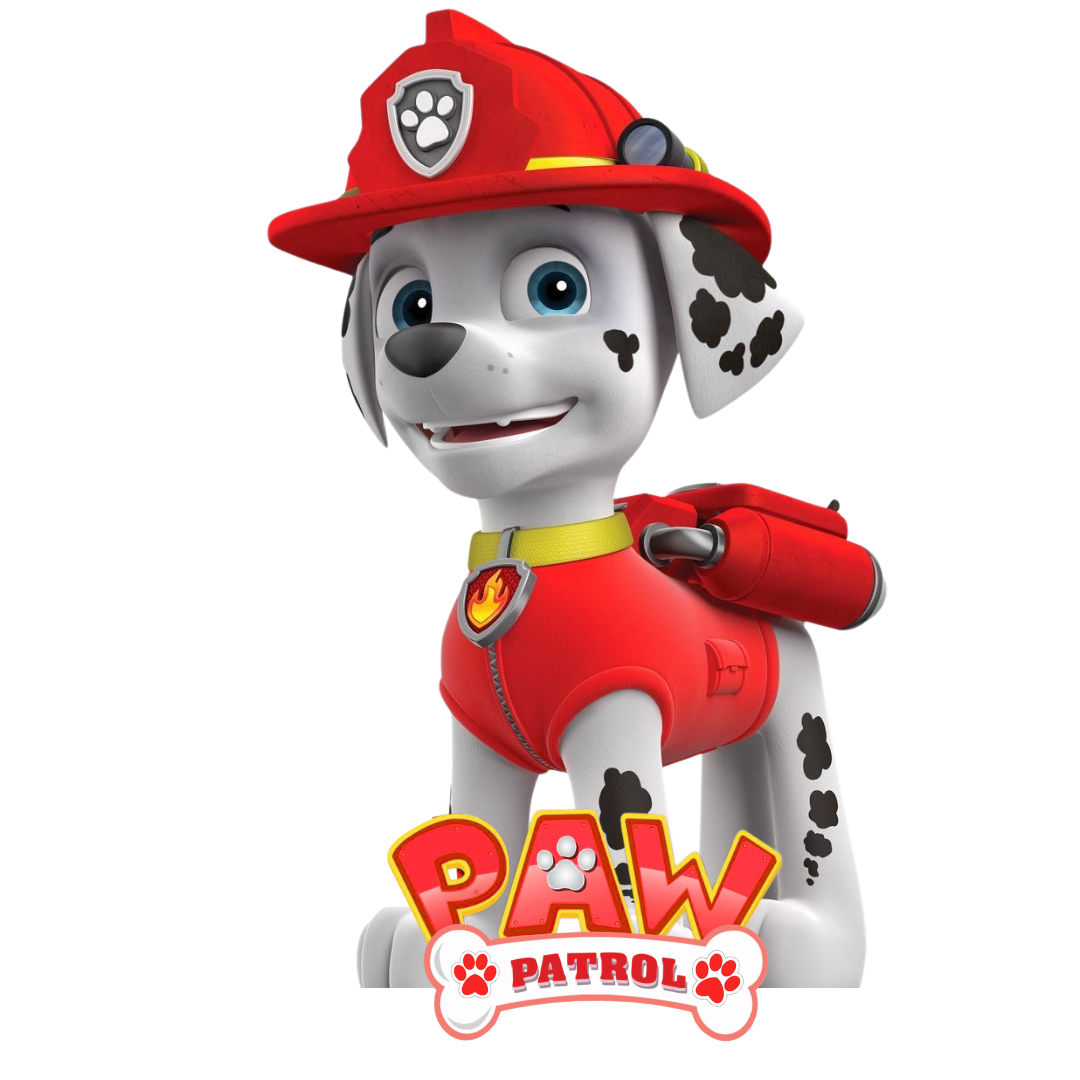 CONJUNTO PAW PATROL