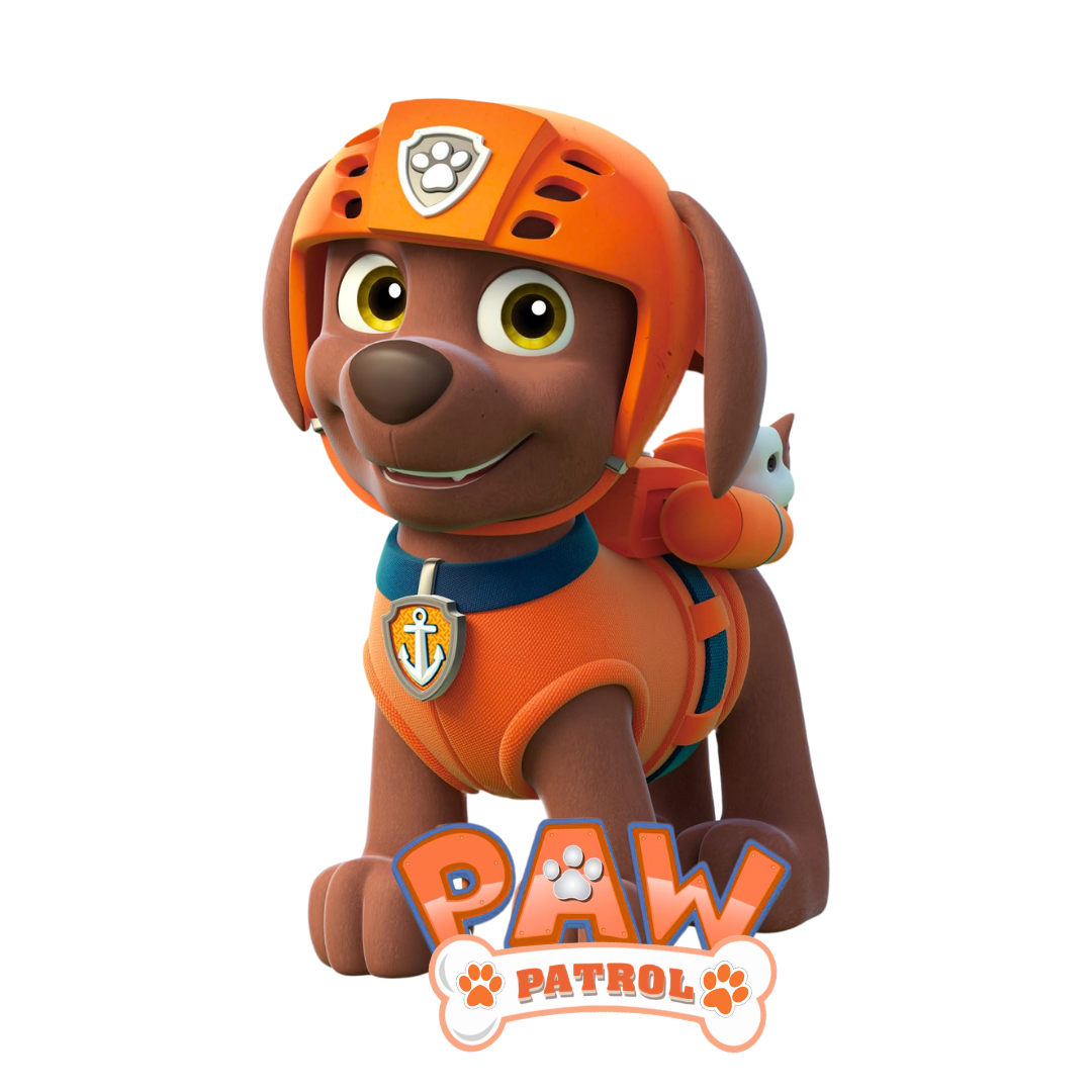 CONJUNTO PAW PATROL