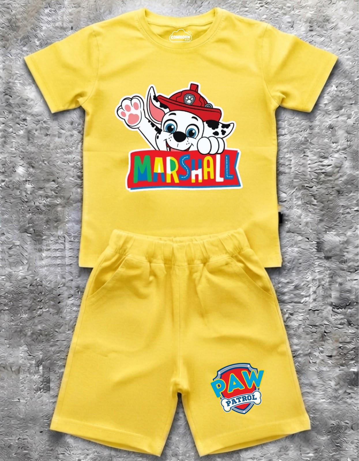 CONJUNTO PAW PATROL