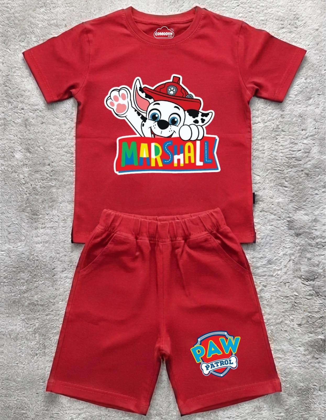 CONJUNTO PAW PATROL