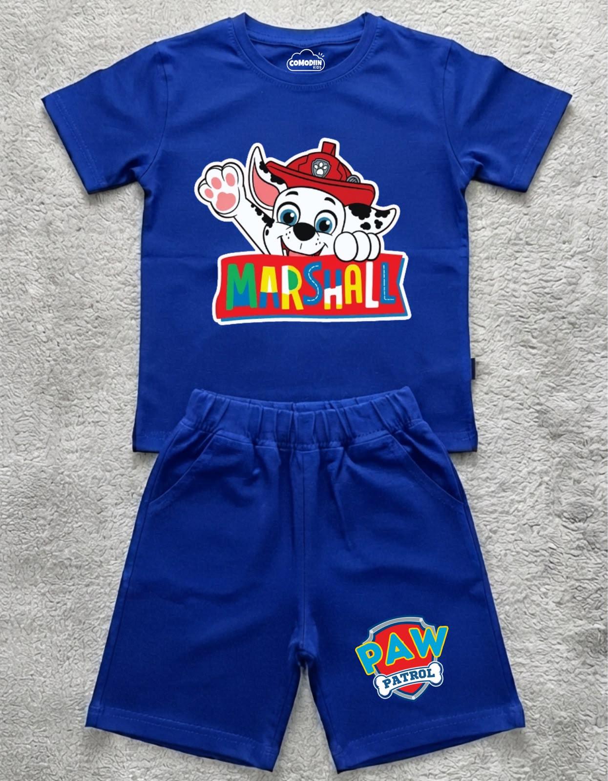 CONJUNTO PAW PATROL