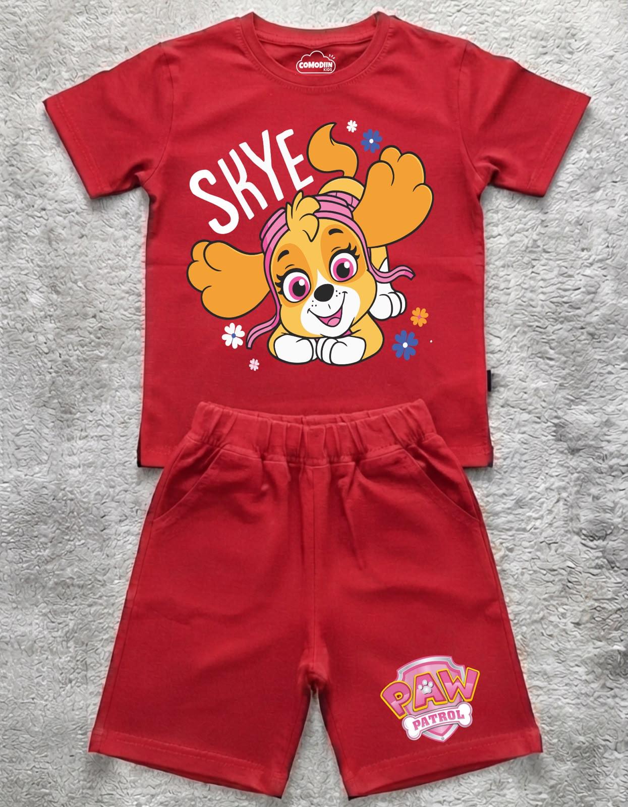 CONJUNTO PAW PATROL
