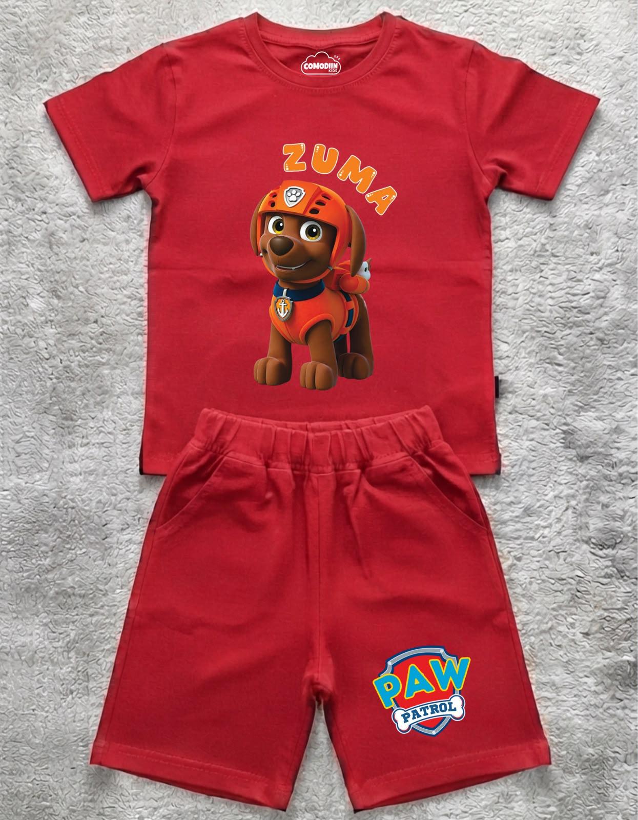 CONJUNTO PAW PATROL